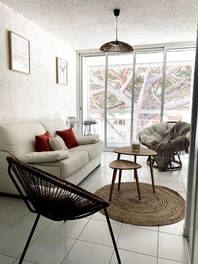 Superbe Appartement Cosy Vue Mer Pieds Dans L'Eau キャバレール・シュル・メール エクステリア 写真